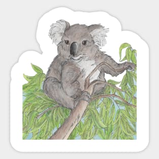 Home among the gumtrees Sticker